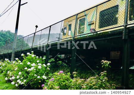 The Nishikigawa Seiryu Line train stopped at Yukinami Station, where hydrangeas were in bloom. The Nishikigawa Seiryu Line train stopped at Yukinami Station, where hydrangeas were in bloom. 140954927