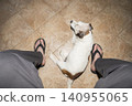 Dog Resting Between Owner Feet on Tile Floor 140955065