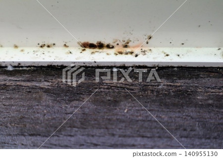 Mold growing on window frames Mold growing on window frames 140955130