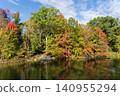 Fall nature landscape. Autumn nature in Central park. Seasonal fall landscape. Park autumn tree and pond in New York. Scenic fall. Central park in autumn. Autumn landscape with pond 140955294