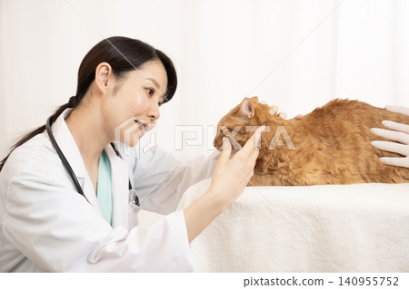一位女醫生正在幫一隻虎斑貓做檢查。 一位女醫生正在幫一隻虎斑貓做檢查。 140955752