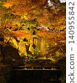 Iwayado Park: Autumn leaves illuminated! 140955842