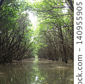 A mangrove tunnel of greenery! Taiwan's mini-mazon! 140955905