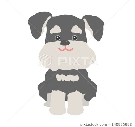 Miniature Schnauzer sitting and smiling Miniature Schnauzer sitting and smiling 140955998