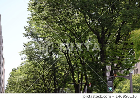 街道兩旁綠樹成蔭,行人交通號誌發出藍色的光芒。 街道兩旁綠樹成蔭,行人交通號誌發出藍色的光芒。 140956136