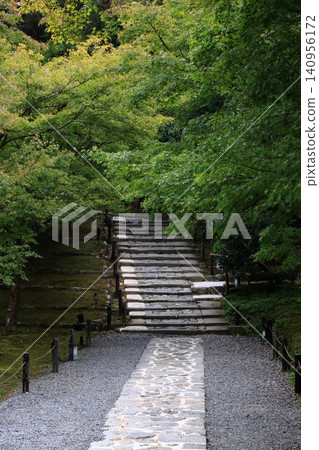 通往神社的石階,周圍綠樹環繞。 通往神社的石階,周圍綠樹環繞。 140956172