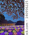Nabana no Sato is illuminated at night! A field of flowers! 140956225