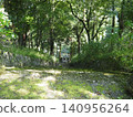 A green forest where sunlight filters through the trees 140956264