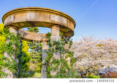 【神奈川縣】港景山公園 - 櫻花季 【神奈川縣】港景山公園 - 櫻花季 140956338