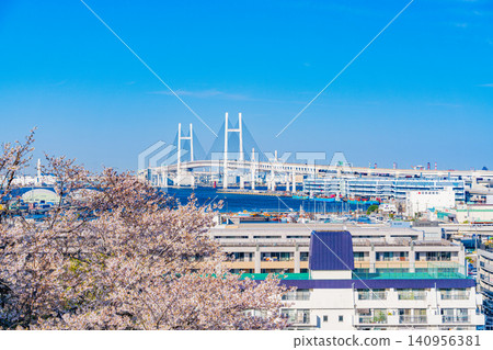 [Kanagawa Prefecture] Yokohama Bay Bridge as seen from Harbor View Park during cherry blossom season 140956381