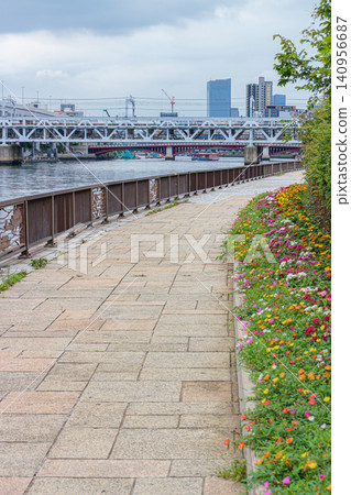 Sumida River Terrace and colorful flowerbeds in Asakusa Sumida River Terrace and colorful flowerbeds in Asakusa 140956687