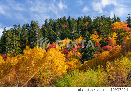 Vibrantly colored autumn leaves around Tokachidake Onsen in Kamifurano, Hokkaido. Natural mountain scenery dyed in autumn colors. A tourist attraction. Vibrantly colored autumn leaves around Tokachidake Onsen in Kamifurano, Hokkaido. Natural mountain scenery dyed in autumn colors. A tourist attraction. 140957904