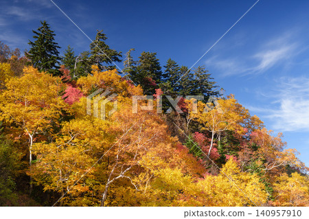 Vibrantly colored autumn leaves around Tokachidake Onsen in Kamifurano, Hokkaido. Natural mountain scenery dyed in autumn colors. A tourist attraction. Vibrantly colored autumn leaves around Tokachidake Onsen in Kamifurano, Hokkaido. Natural mountain scenery dyed in autumn colors. A tourist attraction. 140957910