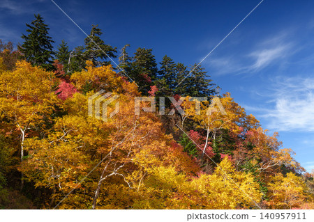 Vibrantly colored autumn leaves around Tokachidake Onsen in Kamifurano, Hokkaido. Natural mountain scenery dyed in autumn colors. A tourist attraction. 140957911