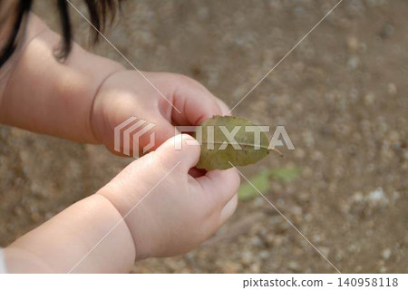 A small green leaf held in a child's hand A small green leaf held in a child's hand 140958118