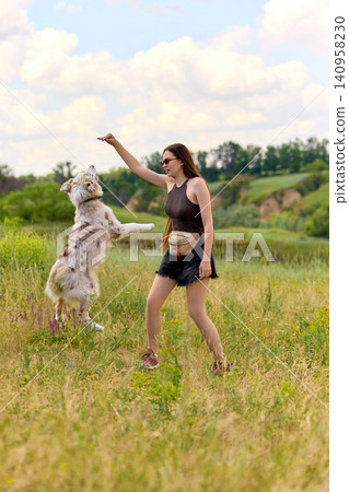 Woman teaching dog jump command with treat in summer meadow. Woman teaching dog jump command with treat in summer meadow. 140958230