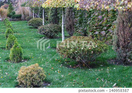 Garden scene with shrubs and trees in autumn Garden scene with shrubs and trees in autumn 140958387