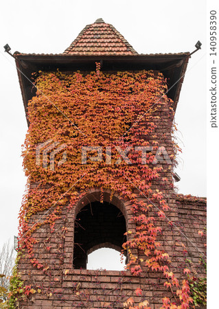 Old tower covered in ivy during fall season Old tower covered in ivy during fall season 140958390