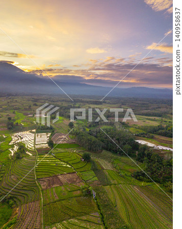 Terraced Rice Fields at Sunrise in Indonesia. Beautiful panoramic view of terraced rice fields surrounded by lush tropical greenery and palm trees Terraced Rice Fields at Sunrise in Indonesia. Beautiful panoramic view of terraced rice fields surrounded by lush tropical greenery and palm trees 140958637