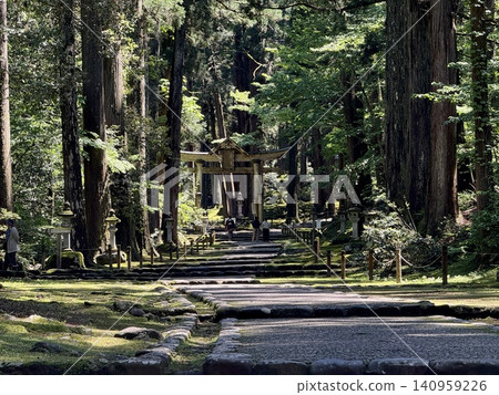 The approach to Hiraizumi-ji Hakusan Shrine in spring, through a coniferous forest. The approach to Hiraizumi-ji Hakusan Shrine in spring, through a coniferous forest. 140959226