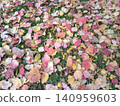 colorful leaves on the ground 140959603