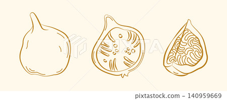 Hand-drawn fig fruits in line art doodle style for grocery shop, farmers market, summer packaging, cooking ingredient, event decor Hand-drawn fig fruits in line art doodle style for grocery shop, farmers market, summer packaging, cooking ingredient, event decor 140959669
