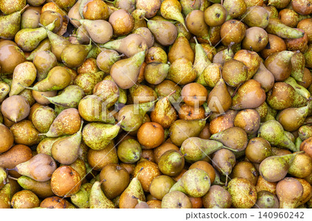 fresh conference pears background fresh conference pears background 140960242