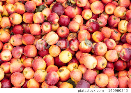 fresh organic red apples background fresh organic red apples background 140960243