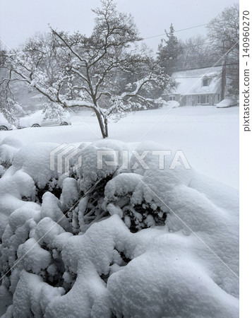 Snow Covers Bushes and Landscape in a Winter Scene Snow Covers Bushes and Landscape in a Winter Scene 140960270