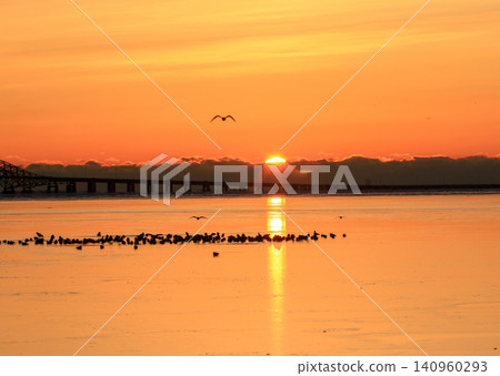 Sunrise Over a Frozen Great South Bay Near Babylon with a Seagull Flying Over Sunrise Over a Frozen Great South Bay Near Babylon with a Seagull Flying Over 140960293