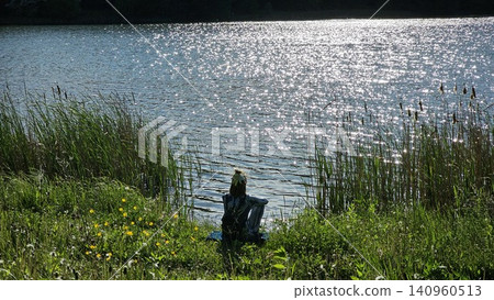Person relaxing by sparkling lakeshore surrounded by reeds on bright sunny day in peaceful nature 140960513