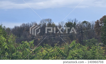 power transmission towers near forest in autumn with colorful leaves roadside view power transmission towers near forest in autumn with colorful leaves roadside view 140960708