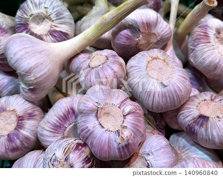 young garlic pile of fresh garlic bulbs Fresh garlic bulbs piled high at a farmers market ready for healthy cooking use young garlic pile of fresh garlic bulbs Fresh garlic bulbs piled high at a farmers market ready for healthy cooking use 140960840