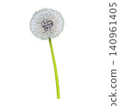 Dandelion Seed Head Blowball Close Up 140961405