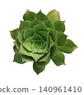Green Succulent Plant Rosette Top View 140961410