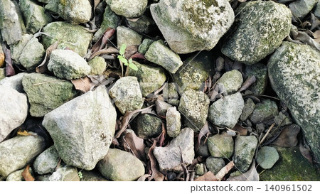 Natural River Stones Texture Background with Green Moss Natural River Stones Texture Background with Green Moss 140961502