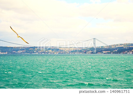 Seagulls flying over the Bosphorus Strait and a cruise scene Seagulls flying over the Bosphorus Strait and a cruise scene 140961751