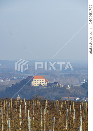 Dolni Kounice Castle standing above vineyard in Czechia Dolni Kounice Castle standing above vineyard in Czechia 140961762