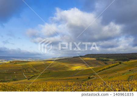 Autumn grape vineyards in Ay Champagne, France, under blue sky Autumn grape vineyards in Ay Champagne, France, under blue sky 140961835