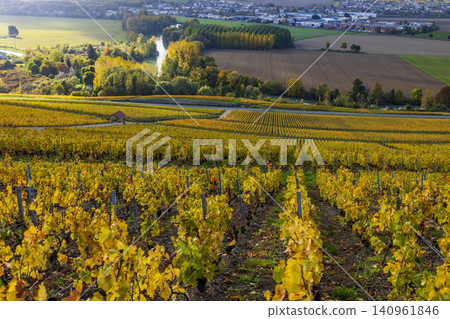 Hautvillers Champagne vineyard landscape in autumn colors Hautvillers Champagne vineyard landscape in autumn colors 140961846