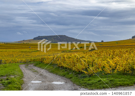 Autumn vineyard path Chemin des Plissons Blancs Coteaux France Autumn vineyard path Chemin des Plissons Blancs Coteaux France 140961857