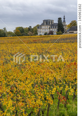 Vineyards with autumn foliage and Chateau de Gilly in Bourgogne, France 140961882