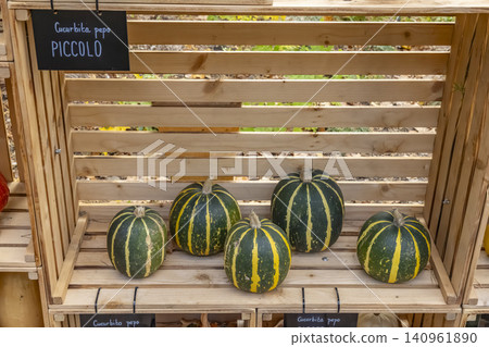 Cucurbita pepo Piccolo pumpkins displaying on wooden crate Cucurbita pepo Piccolo pumpkins displaying on wooden crate 140961890