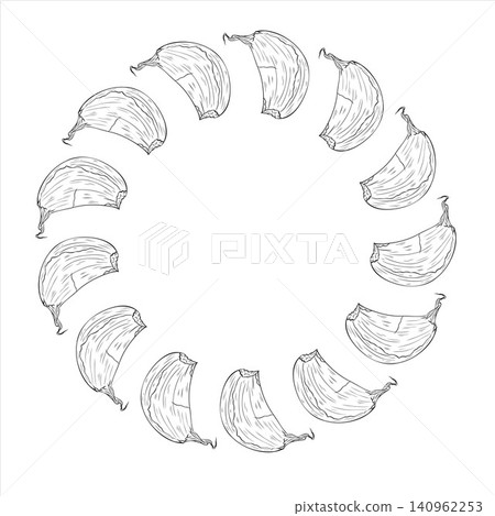 Hand drawn garlic wreath frame made of garlic cloves arranged in a circular border. Botanical culinary line art with copy space for recipes, packaging, menus and food branding Hand drawn garlic wreath frame made of garlic cloves arranged in a circular border. Botanical culinary line art with copy space for recipes, packaging, menus and food branding 140962253
