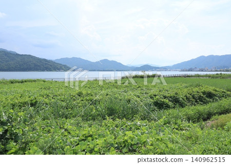 寧靜的內陸海景,四周環繞著鬱鬱蔥蔥的田野和山脈。 寧靜的內陸海景,四周環繞著鬱鬱蔥蔥的田野和山脈。 140962515