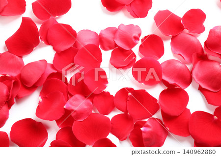 Fresh red rose petals on white background, top view Fresh red rose petals on white background, top view 140962880