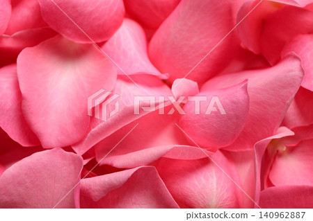 Fresh pink rose petals as background, closeup Fresh pink rose petals as background, closeup 140962887