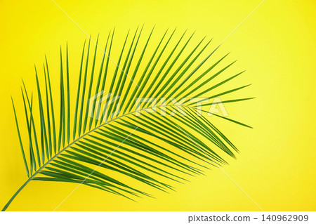 Beautiful lush tropical leaf on yellow background Beautiful lush tropical leaf on yellow background 140962909