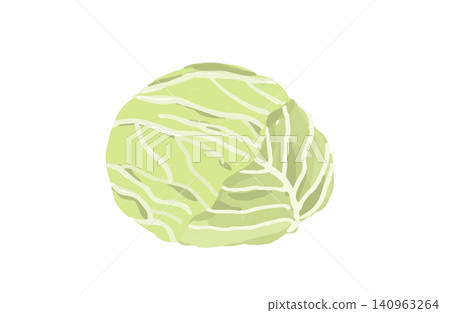 A vector illustration of a cabbage in soft colors; a simple illustration of a single head of cabbage. A vector illustration of a cabbage in soft colors; a simple illustration of a single head of cabbage. 140963264