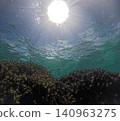 Coral reefs illuminated by sunlight 140963275